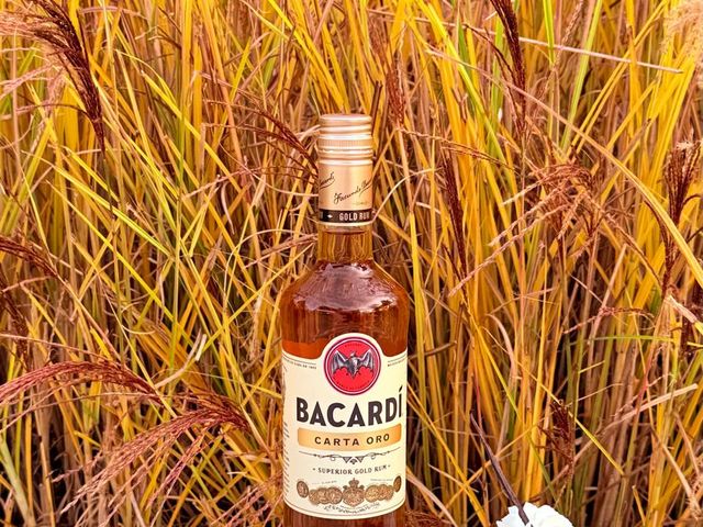 La Table du Parc v.jpeg